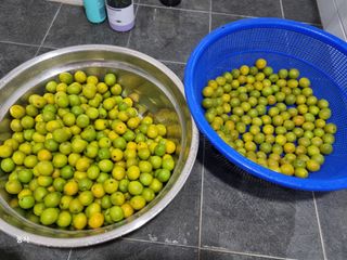 김갑수님의 자유주제 · 자유게시판 작성글 사진