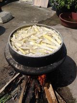 팜모닝 자유주제·자유게시판 게시글 이미지