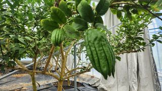 정미리님의 자유주제 · 자유게시판 작성글 사진