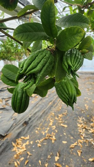 정미리님의 자유주제 · 자유게시판 작성글 사진