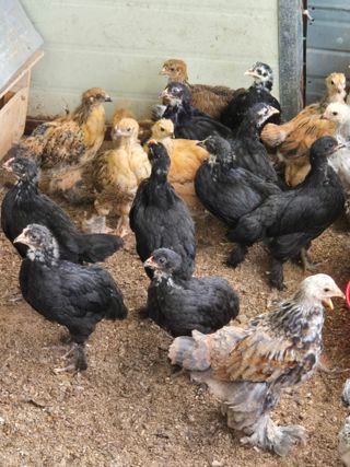 천운산님의 자유주제 · 자유게시판 작성글 사진