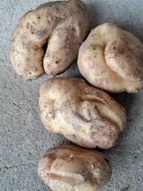 팜모닝 자유주제·자유게시판 게시글 이미지