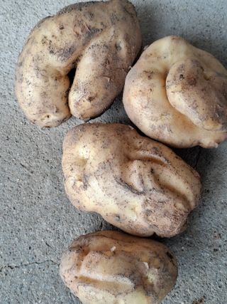 장래호님의 자유주제 · 자유게시판 작성글 사진