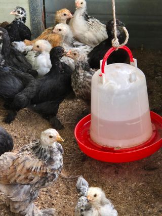 천운산님의 자유주제 · 자유게시판 작성글 사진