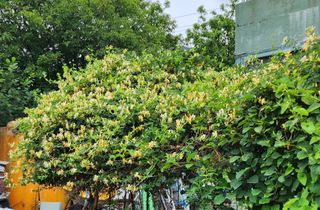 고추건조기부품판매님의 자유주제 · 자유게시판 작성글 사진