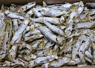 이미경님의 작성글 사진