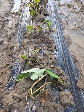 박명광님의 자유주제 · 자유게시판 작성글 사진