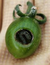 팜모닝 자유주제·자유게시판 게시글 이미지