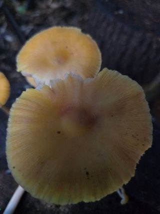 김성환님의 자유주제 · 자유게시판 작성글 사진