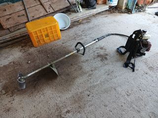 알 수 없음님의 자유주제 · 자유게시판 작성글 사진