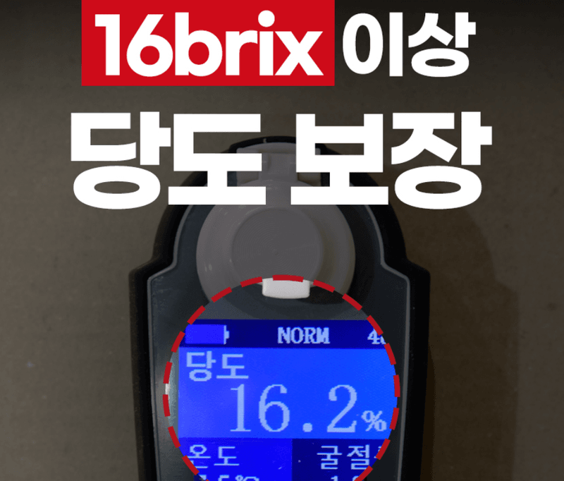 스피드번님의 장터 판매 상품 [(정품) 부사사과] 첨부 사진