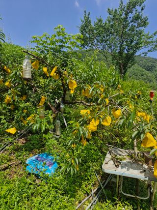 당근한개님의 자유주제 · 자유게시판 작성글 사진