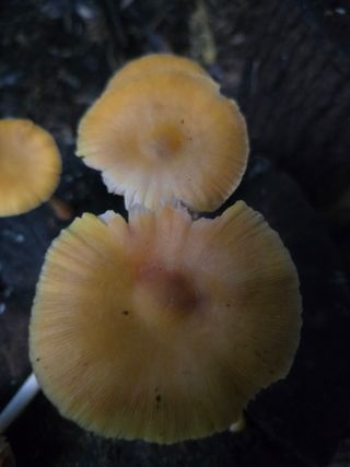 김성환님의 자유주제 · 자유게시판 작성글 사진