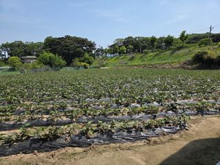 박명광님의 자유주제 · 자유게시판 작성글 사진