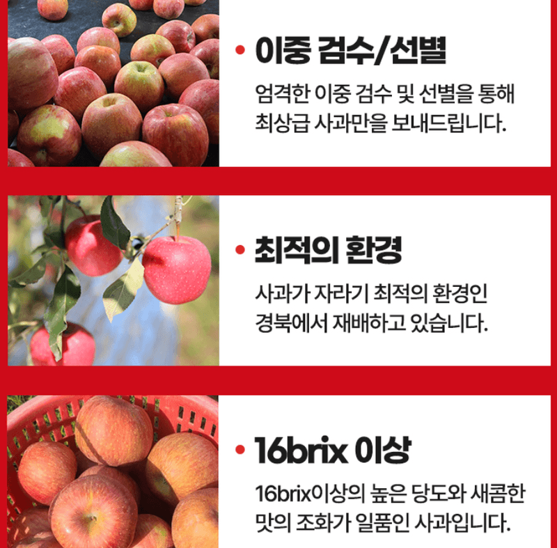 스피드번님의 장터 판매 상품 [(정품) 부사사과] 첨부 사진