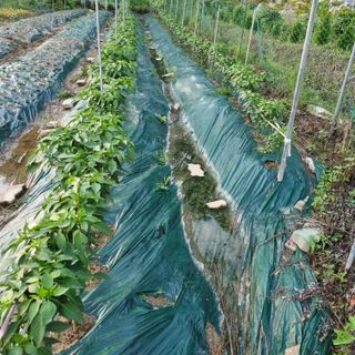 훈&팜님의 자유주제 · 자유게시판 작성글 사진