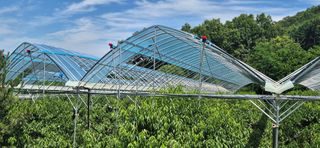 달맛햇복숭아농원님의 자유주제 · 자유게시판 작성글 사진