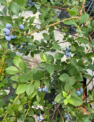 김재우님의 작성글 사진