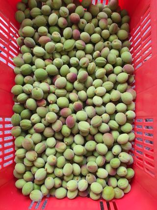 하나라도 소중하게님의 자유주제 · 자유게시판 작성글 사진