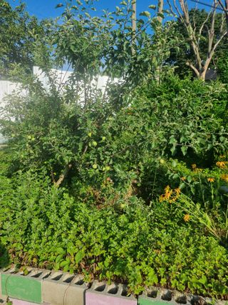 최한섭님의 자유주제 · 자유게시판 작성글 사진