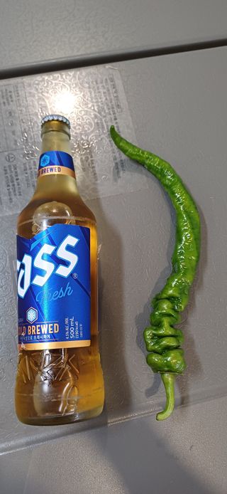 이강재님의 자유주제 · 자유게시판 작성글 사진