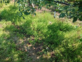 알 수 없음님의 자유주제 · 자유게시판 작성글 사진