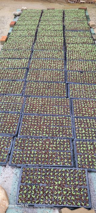 가루개님의 자유주제 · 자유게시판 작성글 사진