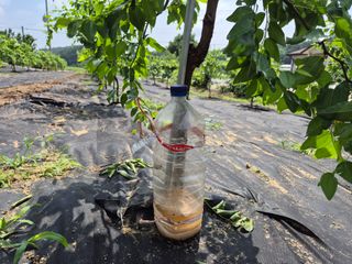 전홍열님의 자유주제 · 자유게시판 작성글 사진