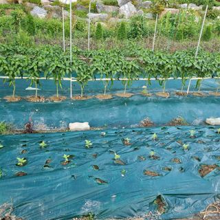 훈&팜님의 자유주제 · 자유게시판 작성글 사진