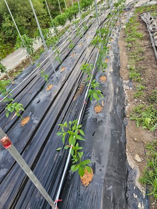 그린님의 자유주제 · 자유게시판 작성글 사진