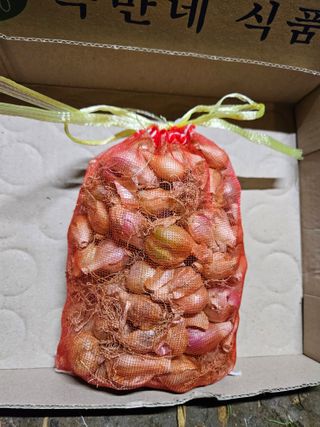 김경옥님의 작성글 사진