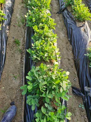 !정의규님의 자유주제 · 자유게시판 작성글 사진