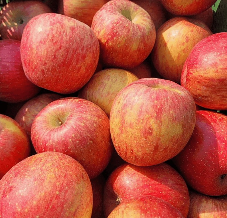 장터 상품 [(정품) 부사사과] 썸네일