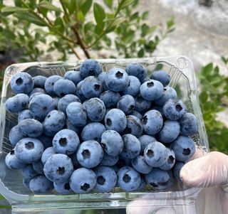 김재우님의 작성글 사진