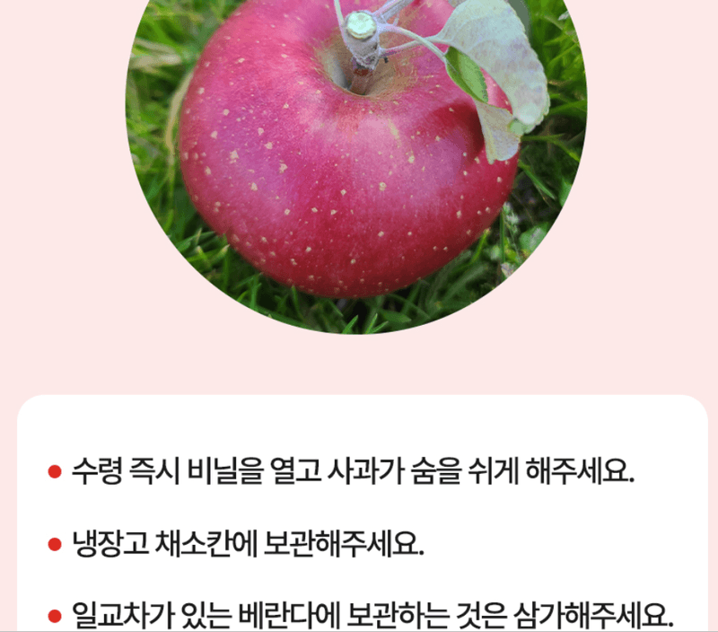 스피드번님의 장터 판매 상품 [(정품) 부사사과] 첨부 사진