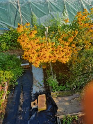 최한섭님의 자유주제 · 자유게시판 작성글 사진