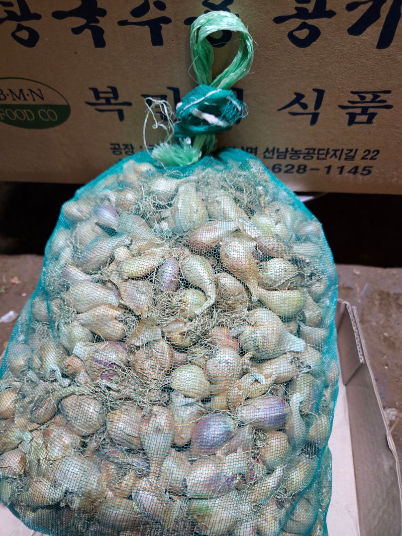 김경옥님의 장터 판매 상품 [쪽파종자1kg-판매완료] 첨부 사진