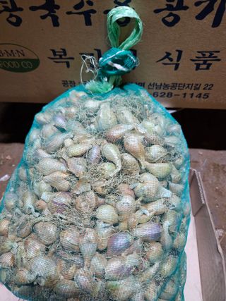 김경옥님의 작성글 사진