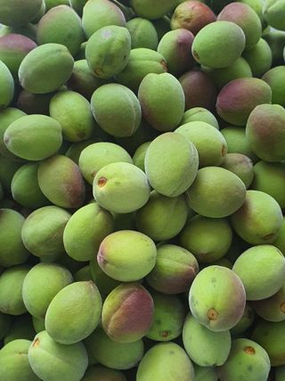 하나라도 소중하게님의 자유주제 · 자유게시판 작성글 사진