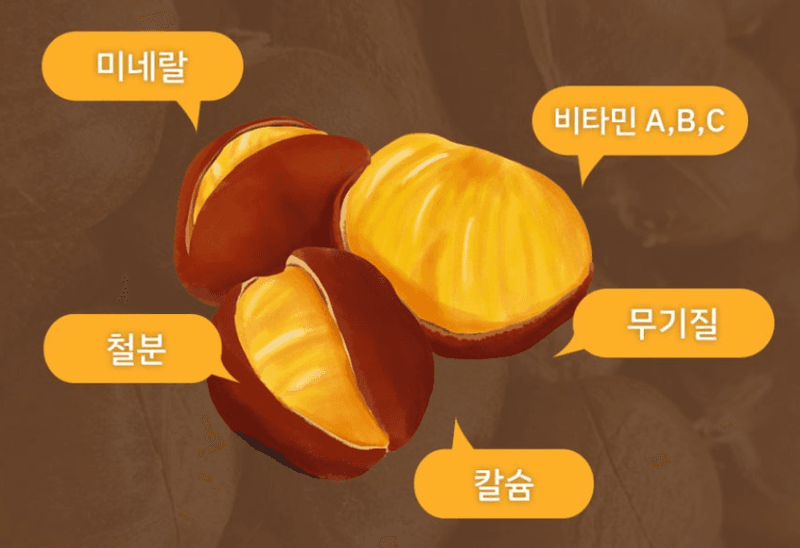 스피드번님의 장터 판매 상품 [약단밤] 첨부 사진