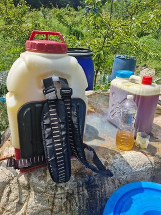 당근한개님의 자유주제 · 자유게시판 작성글 사진