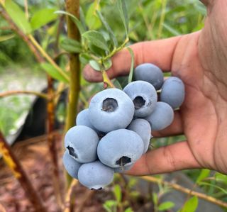 김재우님의 작성글 사진