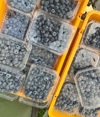 김재우님의 작성글 사진