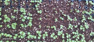 가루개님의 자유주제 · 자유게시판 작성글 사진