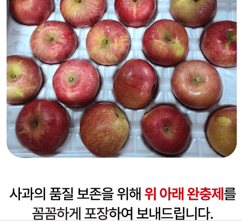 스피드번님의 장터 판매 상품 [(정품) 부사사과] 첨부 사진