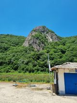 팜모닝 자유주제·자유게시판 게시글 이미지