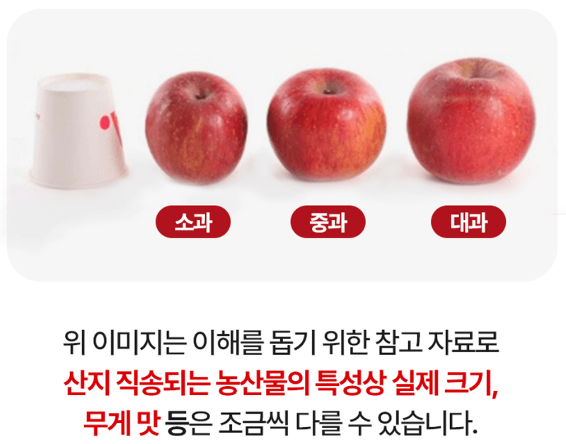 스피드번님의 장터 판매 상품 [(정품) 부사사과] 첨부 사진