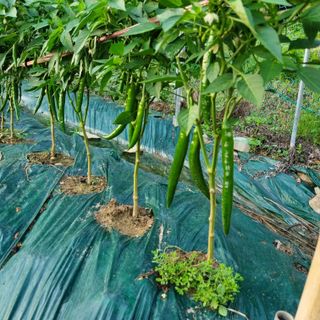 훈&팜님의 자유주제 · 자유게시판 작성글 사진