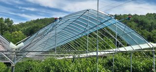 달맛햇복숭아농원님의 자유주제 · 자유게시판 작성글 사진