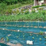 팜모닝 자유주제·자유게시판 게시글 이미지